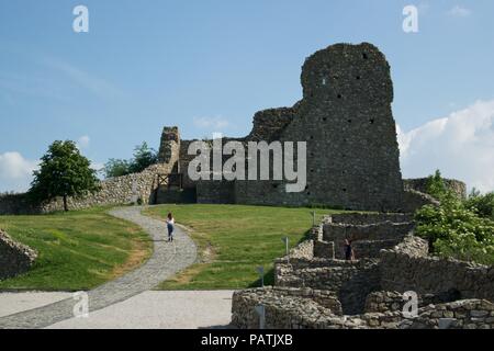 Burg Devin, Slowakei Stockfoto