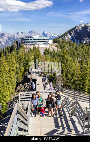 Touristen genießen die Aussicht vom Gipfel Boardwalk auf Schwefel Berg in den Rocky Mountains, Banff, Alberta, Kanada Stockfoto