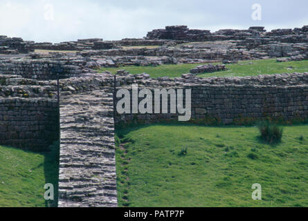 Ruinen der römischen Festung auf Hadrian's Wall, Housesteads, Northumbria, England, 2. Foto Stockfoto