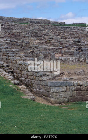 Ruinen der römischen Festung auf Hadrian's Wall, Housesteads, Northumbria, England, 2. Foto Stockfoto