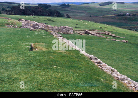 Ruinen der römischen Festung auf Hadrian's Wall, Housesteads, Northumbria, England, 2. Foto Stockfoto