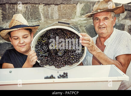 Teenager mit Großvater streuen Trauben der Rebsorten drücken. Zwei Bauern. Jahrgang Thema. Herbst Ernte. Gelb Foto Filter. Stockfoto