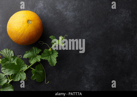 Frische gelb Melone und blühenden Reben auf schwarzem Hintergrund Stockfoto