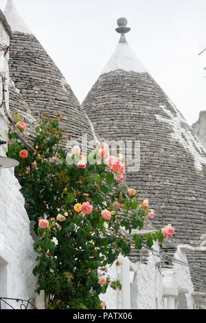 Einzigartige kleine Süd Italia Stadt Alberobello mit antient Steine konische Häuser Trullo, Reiseziel, Region Apulien in der Nähe von Bari Stockfoto