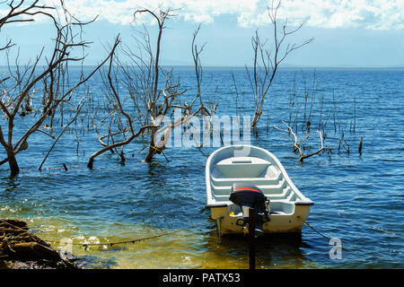 Weiße leere Motorboot auf Salt Lake, die Stämme der Bäume ohne Blätter im Wasser, Lago Enriquillo, Dominikanische Republik Stockfoto