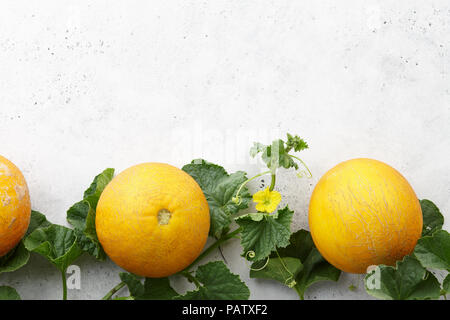 Frische gelb Melonen und blühenden Reben auf weißen Stein Hintergrund Stockfoto