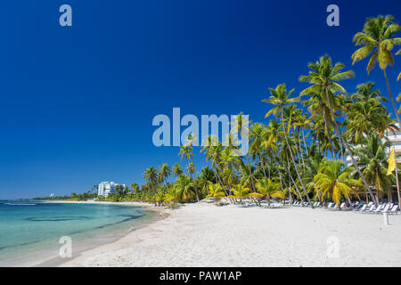 Tropischen Sandstrand auf das Karibische Meer. Klare blaue Meer und hohen Palmen Stockfoto