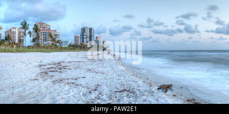 Dunkler Himmel über einem hatchling" Baby Karettschildkröte Caretta caretta macht seinen Weg zum Meer in der Dämmerung auf Clam Pass Strand in Naples, Florida Stockfoto