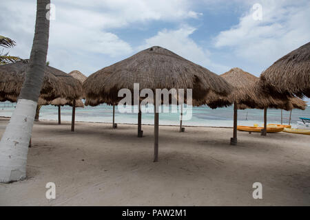 Gruppe von palm leaf Regenschirme in der mexikanischen Karibik. Stockfoto