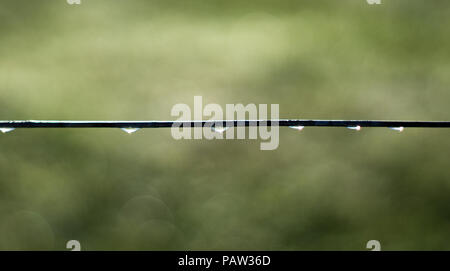 Nahaufnahme regen Tropfen aus schwarzem Draht Zaun auf Grün bokeh Abstrakt Hintergrund mit Kopie Raum Stockfoto