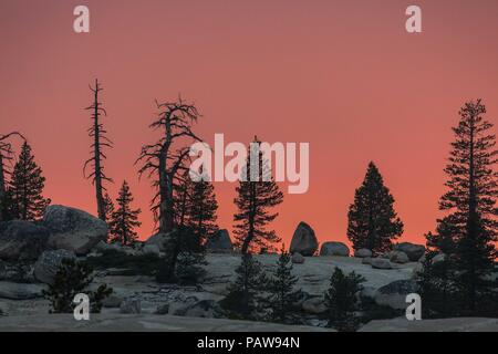 Yosemite Nationalpark, Kalifornien, USA. 24. Juli, 2018. Dienstag, 24. Juli 2018. Ein tief orange Sonnenuntergang im High Country Yosemite National Park, in der Nähe der Olmsted Point vista Aussichtspunkt, die durch Rauch und Dunst aus dem Ferguson Brand verursacht. Die Ferguson Feuer brennt in der Nähe des Park El Portal Eingang. Credit: Tracy Barbutes/ZUMA Draht/Alamy leben Nachrichten Stockfoto