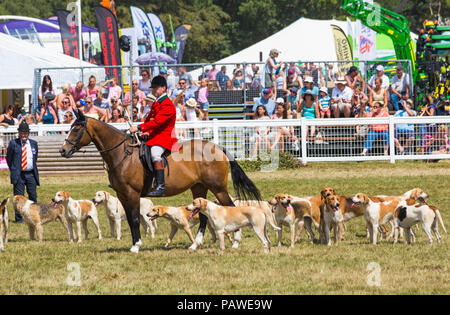 New Milton, Hampshire, UK. 25. Juli 2018. Menschenmassen strömen zu den zweiten Tag des New Forest & Hampshire County zeigen an einem heißen sonnigen Tag. Jäger und Jagdhunde. Stockfoto