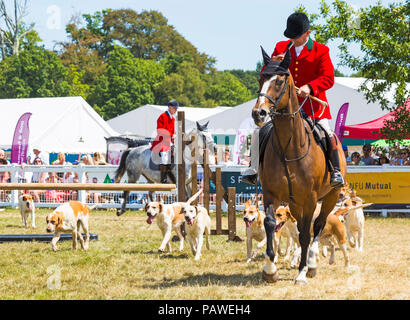 New Milton, Hampshire, UK. 25. Juli 2018. Menschenmassen strömen zu den zweiten Tag des New Forest & Hampshire County zeigen an einem heißen sonnigen Tag. Jäger und Hunde. Stockfoto