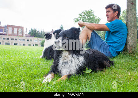 Ein Mann mit seinen beiden Hunden schaut hinüber Das Gras Feld an der Huron University an der Western University in London, Ontario Stockfoto