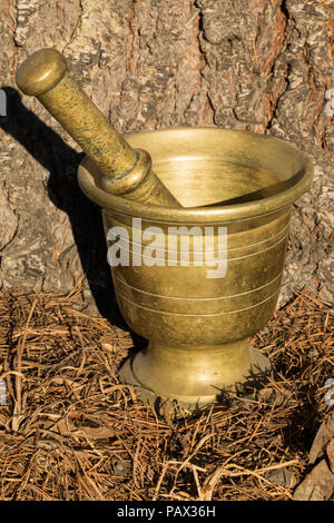 Alte Messing Mörser und Stößel Stockfoto