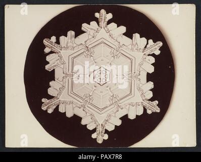 [Snow Crystal]. Artist: Wilson Alwyn Bentley (American, 1865-1931). Abmessungen: Bild: 3. × 3 3/16 in. (7,6×8,1 cm): 3 x 4-in. (7,6 × 10,1 cm). Datum: 1890S-1920s. Museum: Metropolitan Museum of Art, New York, USA. Stockfoto