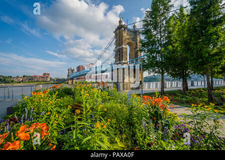 Blumen und der John A. Roebling Suspension Bridge in Cincinnati, Ohio Stockfoto