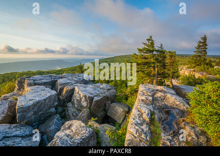 Morgen Blick vom Bär Felsen erhalten, Dolly Sods Wüste, Monongahela National Forest, West Virginia. Stockfoto