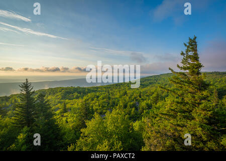 Morgen Blick vom Bär Felsen erhalten, Dolly Sods Wüste, Monongahela National Forest, West Virginia. Stockfoto