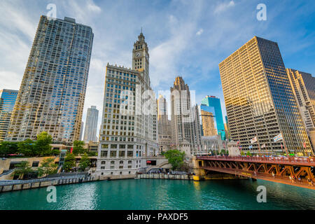 Die Wolkenkratzer entlang des Chicago River, in Chicago, Illinois. Stockfoto