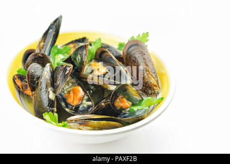 Miesmuschel Suppe mit frischer Petersilie isoliert Stockfoto