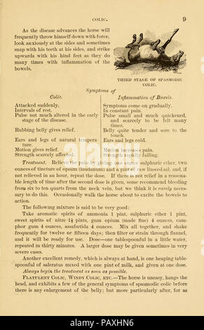 Eine Abhandlung über das Pferd und seine Krankheiten (Seite 9) Stockfoto