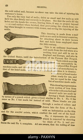 Eine Abhandlung über das Pferd und seine Krankheiten (Seite 48) Stockfoto