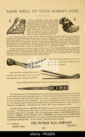 Eine Abhandlung über das Pferd und seine Krankheiten (Seite 96). Stockfoto