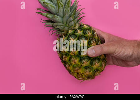 Ananas Obst in der Hand auf einem hellen rosa Hintergrund minimal Sommer essen Konzept gehalten Stockfoto
