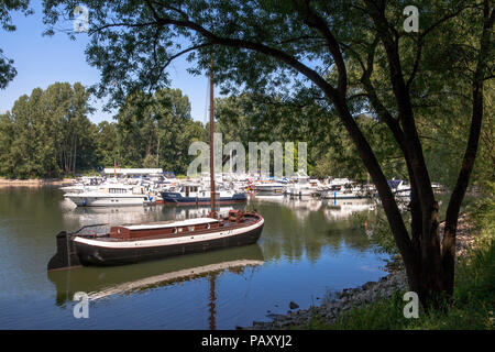 Die Marina von Mondorf befindet sich auf einem alten Arm der Sieg, in der Nähe der Mündung in den Rhein, historische Aal schokker 'Maria Theresia', Mondorf, Deutsch Stockfoto