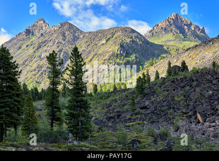 Morgen in Sibirische Berge. Sonnenlicht beleuchtet Berge im Hintergrund und Vordergrund ist immer noch im Schatten Stockfoto