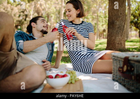 Schöne junge Paar toasten Biere und geniessen Sie ein Picknick im Park. Junger Mann und Frau zusammen im park picknick sitzen. Stockfoto