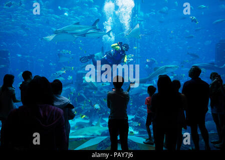 DUBAI, VAE - 14. Februar 2018: die Menschen Aquarium bewundern mit über 60000 Fisch, in Atlantis Hotel. Kapazität von Aquarium ist 11 Millionen Liter Wasser. Du Stockfoto