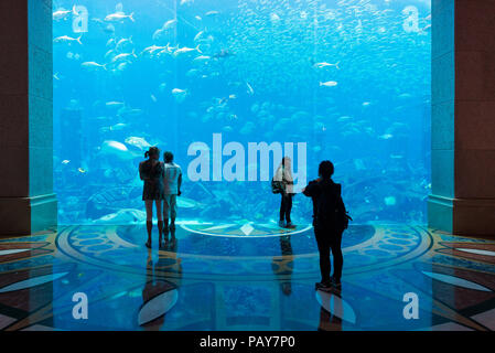 DUBAI, VAE - 14. Februar 2018: die Menschen Aquarium bewundern mit über 60000 Fisch, in Atlantis Hotel. Kapazität von Aquarium ist 11 Millionen Liter Wasser. Du Stockfoto