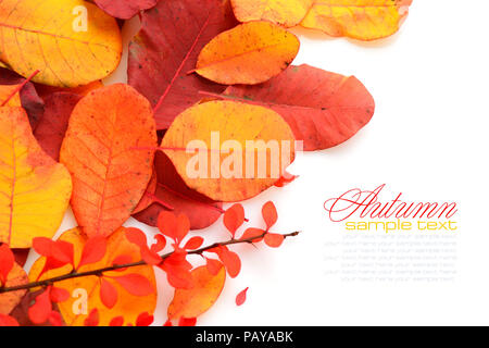 Bunte Blätter im Herbst auf weißem Hintergrund mit Mustertext Stockfoto