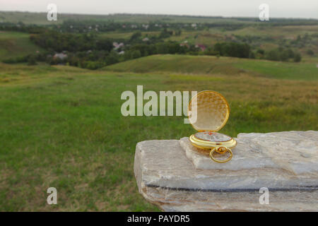 Kompass gold Konzept Auswahl Richtungen, in denen auf einem Hintergrund von Gras Hügel Landschaft zu gehen Stockfoto