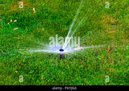 Das moderne Gerät der Bewässerung Garten. Automatische Sprinkleranlage rasen Bewässerung auf dem Hintergrund des grünen Grases, close-up. Bewässerung - Stockfoto