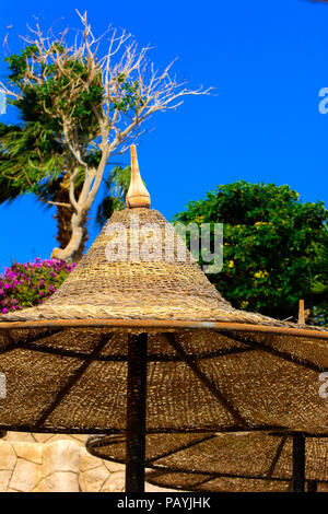 Eine Reihe von Stroh Sonnenschirme gegen Überhitzung und Sonnenliegen am Strand vor einem blauen Himmel und das blaue Meer zu schützen. Das Konzept der Sommerferien, Stockfoto