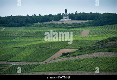 Das Niederwalddenkmal ist ein Monument, das sich in der Niederwald, in der Nähe von Rüdesheim am Rhein liegt in Hessen, Deutschland. Es bietet einen Blick auf das Tal des Rheins. Stockfoto