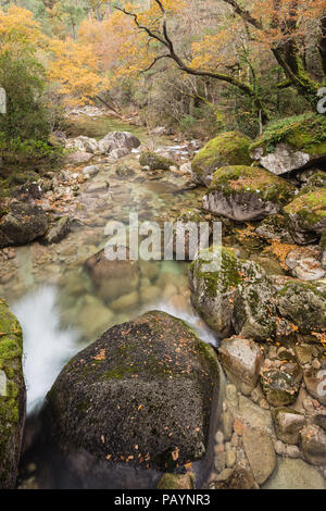 Fluss Homen Wasserfälle und Kaskaden. Mata da Albergaria, Hemsbach auf geira Romana Stockfoto