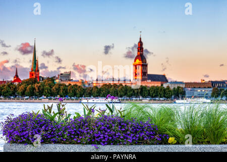 Urban Blumentöpfe mit Riga Altstadt Skyline im Hintergrund, während Sie im Sonnenuntergang Stockfoto