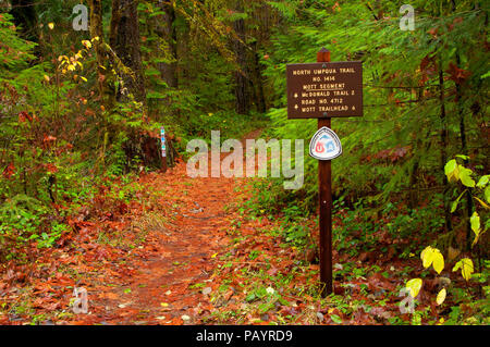 Trail Zeichen entlang der Umpqua River National Recreation Trail, Rogue-Umpqua National Scenic Byway, Umpqua National Forest, Oregon Stockfoto