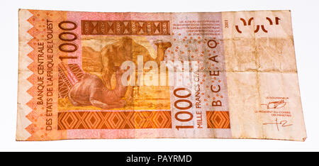 1000 CFA franc bank note. CFA franc is used in 14 African countries. Stockfoto