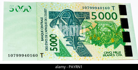 5000 CFA-Franc Bank Note. CFA-Franc ist in 14 afrikanischen Ländern verwendet. Stockfoto