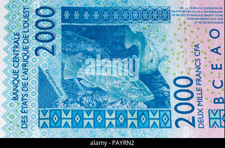 2000 CFA-Franc Bank Note. CFA-Franc ist in 14 afrikanischen Ländern verwendet. Stockfoto