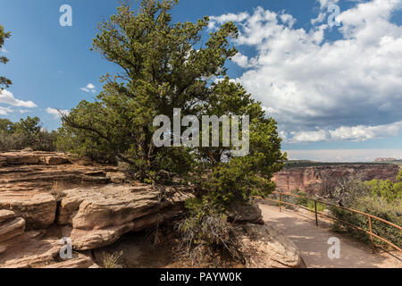 Canyon de Chelly National Monument, Chinle, Arizona. Stockfoto