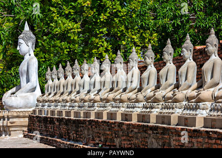 Buddha Statuen in den alten Tempel Wat Yai Chai Mongkhon, in Ayutthaya, Thailand bekannt. Stockfoto