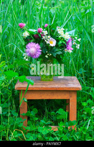 Ein Blumenstrauß von Clover, Kornblumen und Jasmin in einem Glas Vase auf einem alten hölzernen Hocker unter dem grünen Gras im Frühling Garten Stockfoto