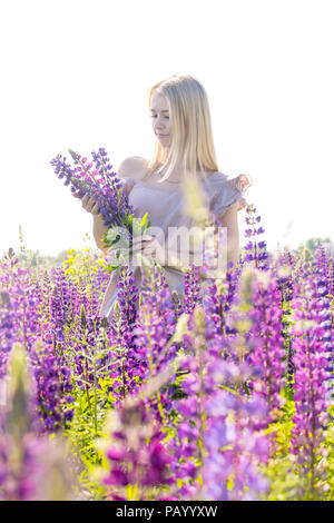 Frau sammelt Blumenstrauß Stockfoto