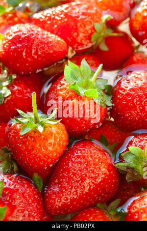 Rote garten Erdbeeren Stockfoto